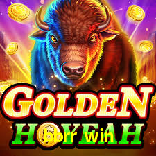 Tournaments bbrr win